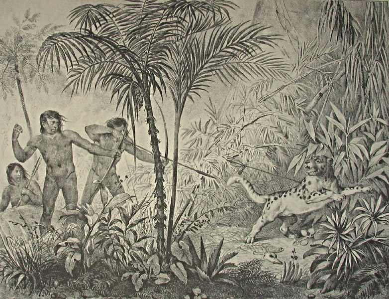 Jaguar hunting from Rugendas's Voyage pittoresque dans le Bresil, Paris 1835. Thanks to Princeton U.