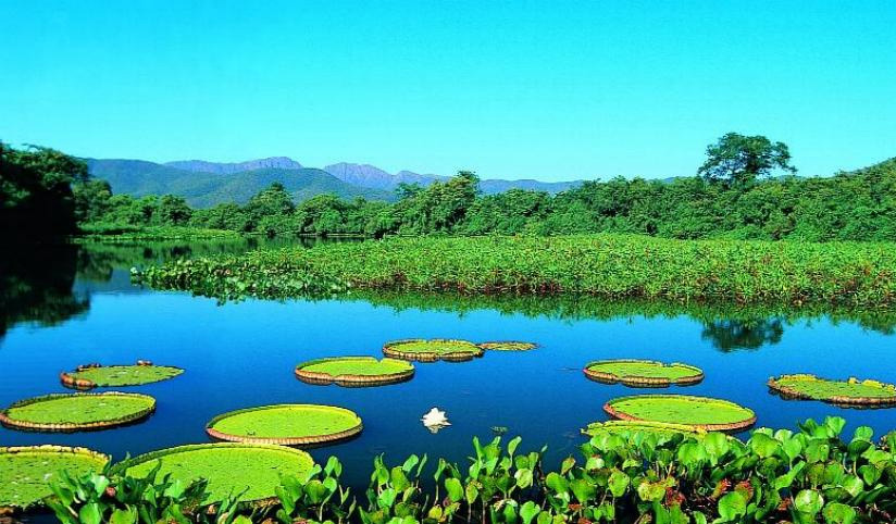 Pantanal, photographer unknown. Thanks to www.ramsar.org