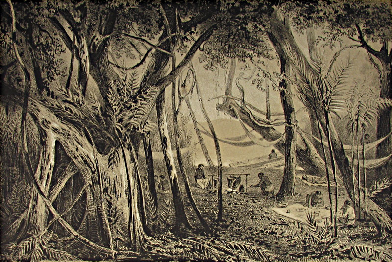 Rio Paraguay from Castelnau's Expedition...l'Amerique du Sud, Paris 1852. Thanks to Lehigh U., Special Collections !
